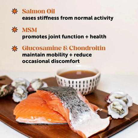 PET HONESTY - Pet Honesty Hip & Joint Dog Food Topper Bone Broth 12 Fl.Oz. - The Red Vitamin MX - Cuidado De Cadera Y Articulaciones Para Perros - {{ shop.shopifyCountryName }}