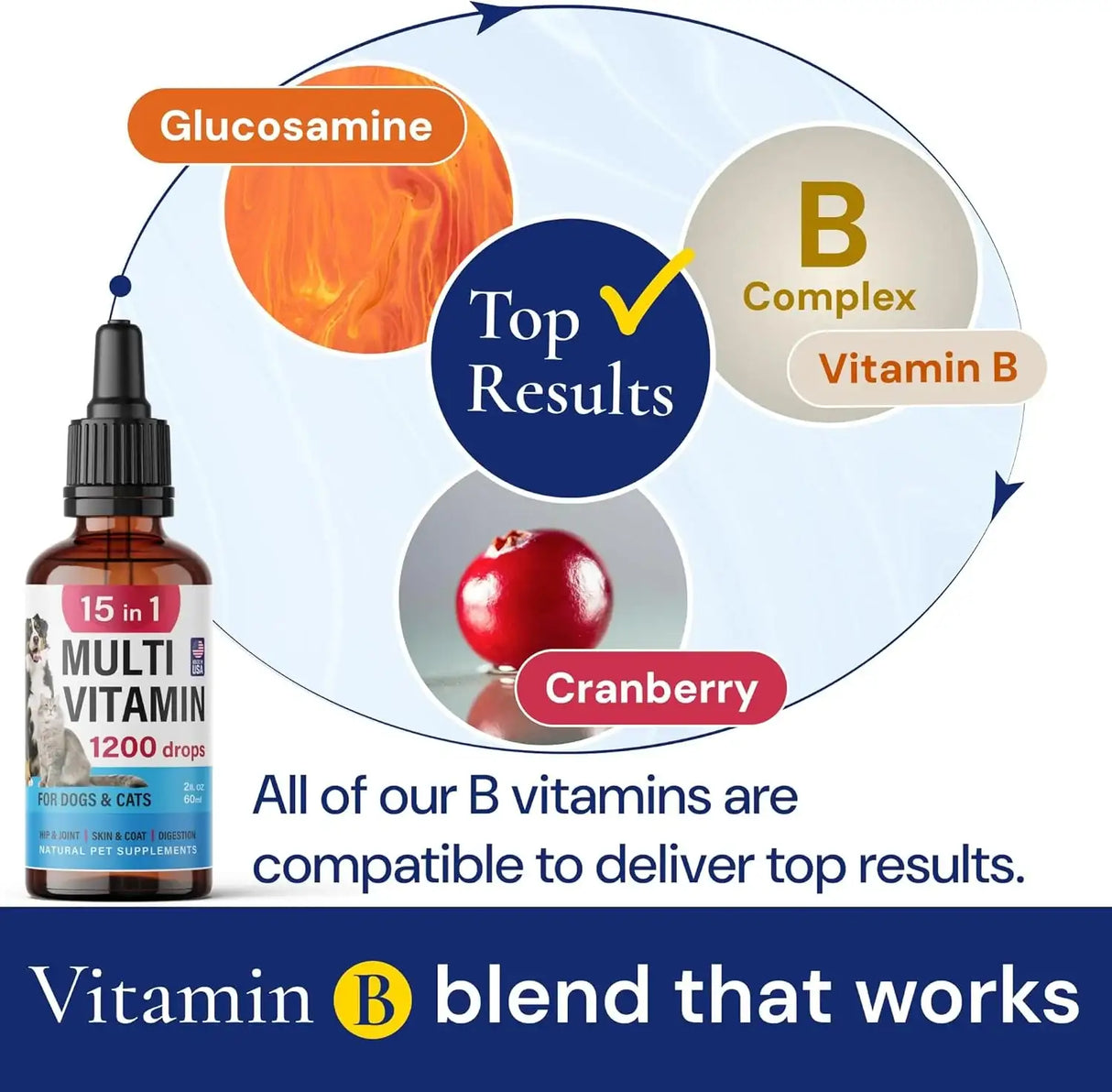 FURFINDS - FurFinds Advanced 15-in-1 Multivitamin for Dogs & Cats 2 Fl.Oz. - The Red Vitamin MX - Multivitamínicos Para Perros - {{ shop.shopifyCountryName }}