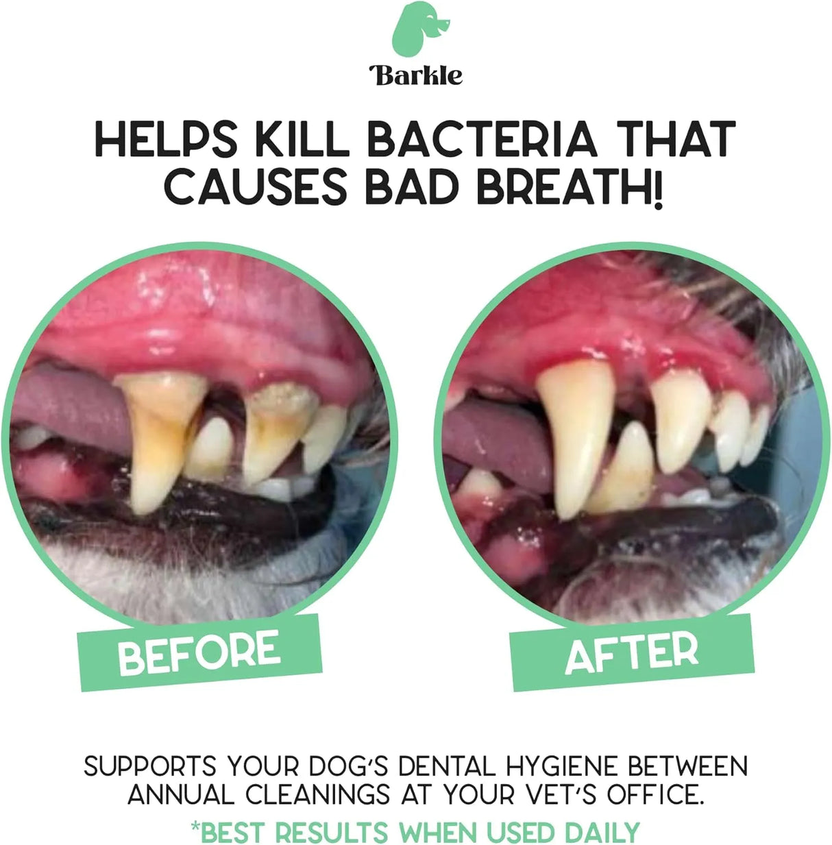 BARKLE - Barkle Vet Approved Dog Teeth Cleaning Toothpaste & Tooth Brushing Kit - The Red Vitamin MX - Cuidado Dental Para Perros - {{ shop.shopifyCountryName }}