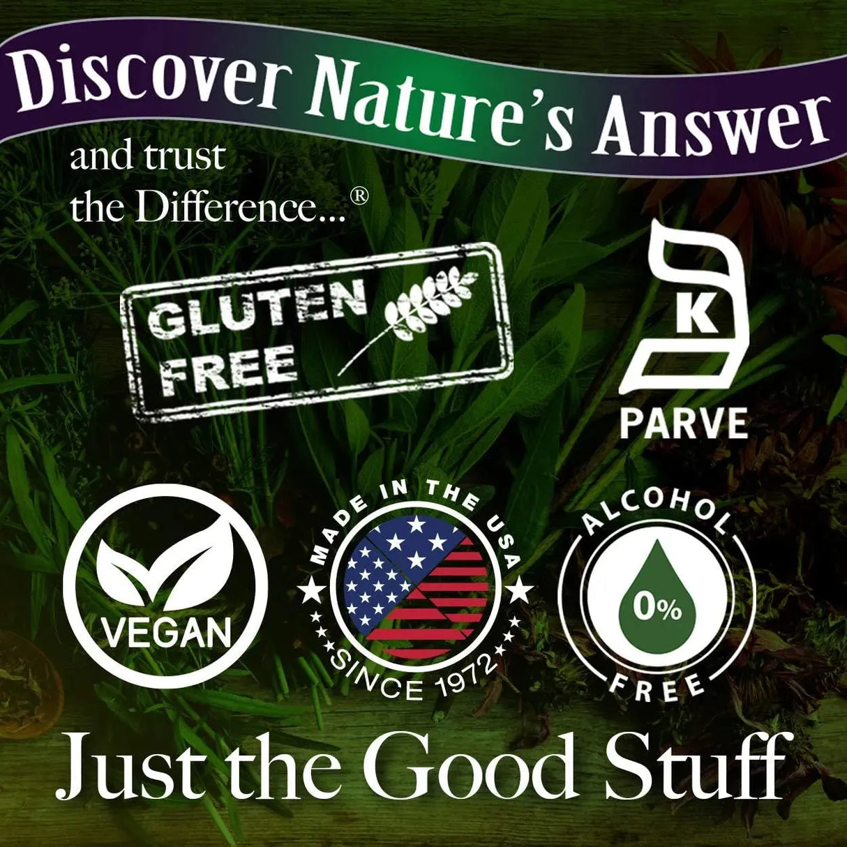 NATURE´S ANSWER - Nature's Answer Echinacea and Goldenseal 4 Fl.Oz. - The Red Vitamin MX - Suplementos Alimenticios - {{ shop.shopifyCountryName }}