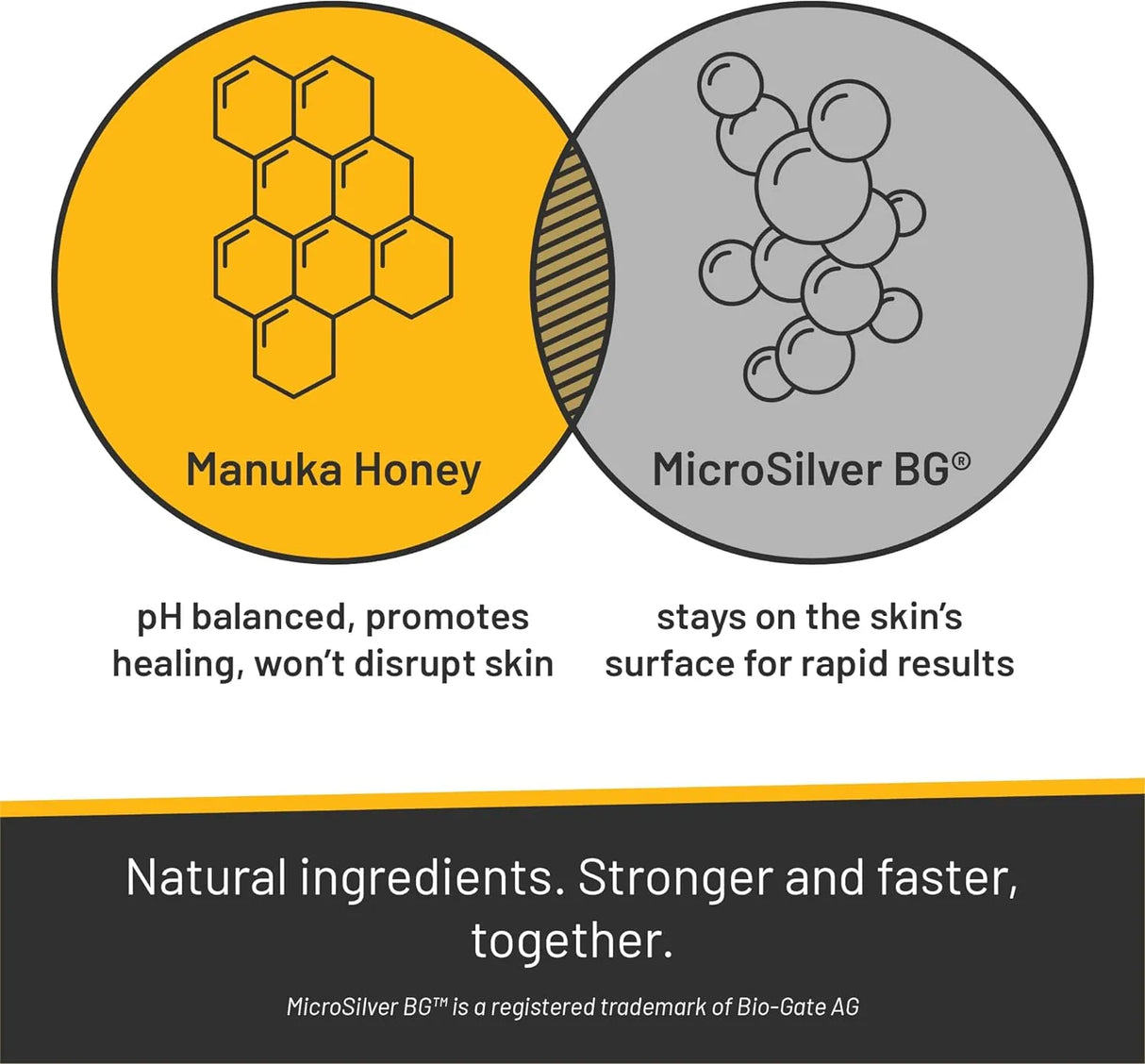 ABSORBINE - Absorbine Silver Honey Rapid Ear Care Vet Strength Ear Cleaner + Infection Treatment - The Red Vitamin MX - Cuidado Del Oído De Perros - {{ shop.shopifyCountryName }}