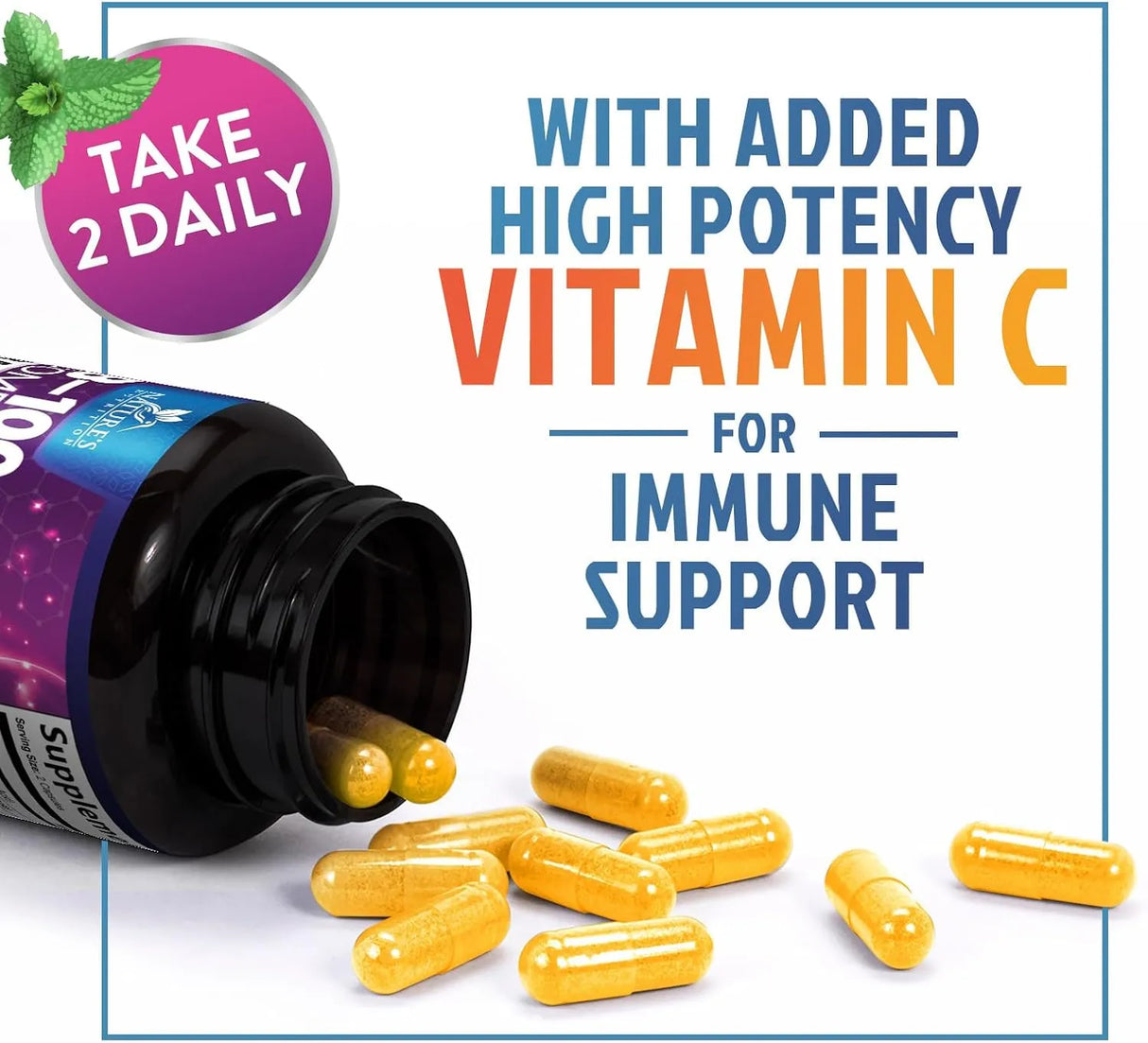 NATURE'S NUTRITION - Nature's Nutrition B-100 Complex 120 Capsulas - The Red Vitamin MX - Suplementos Alimenticios - {{ shop.shopifyCountryName }}