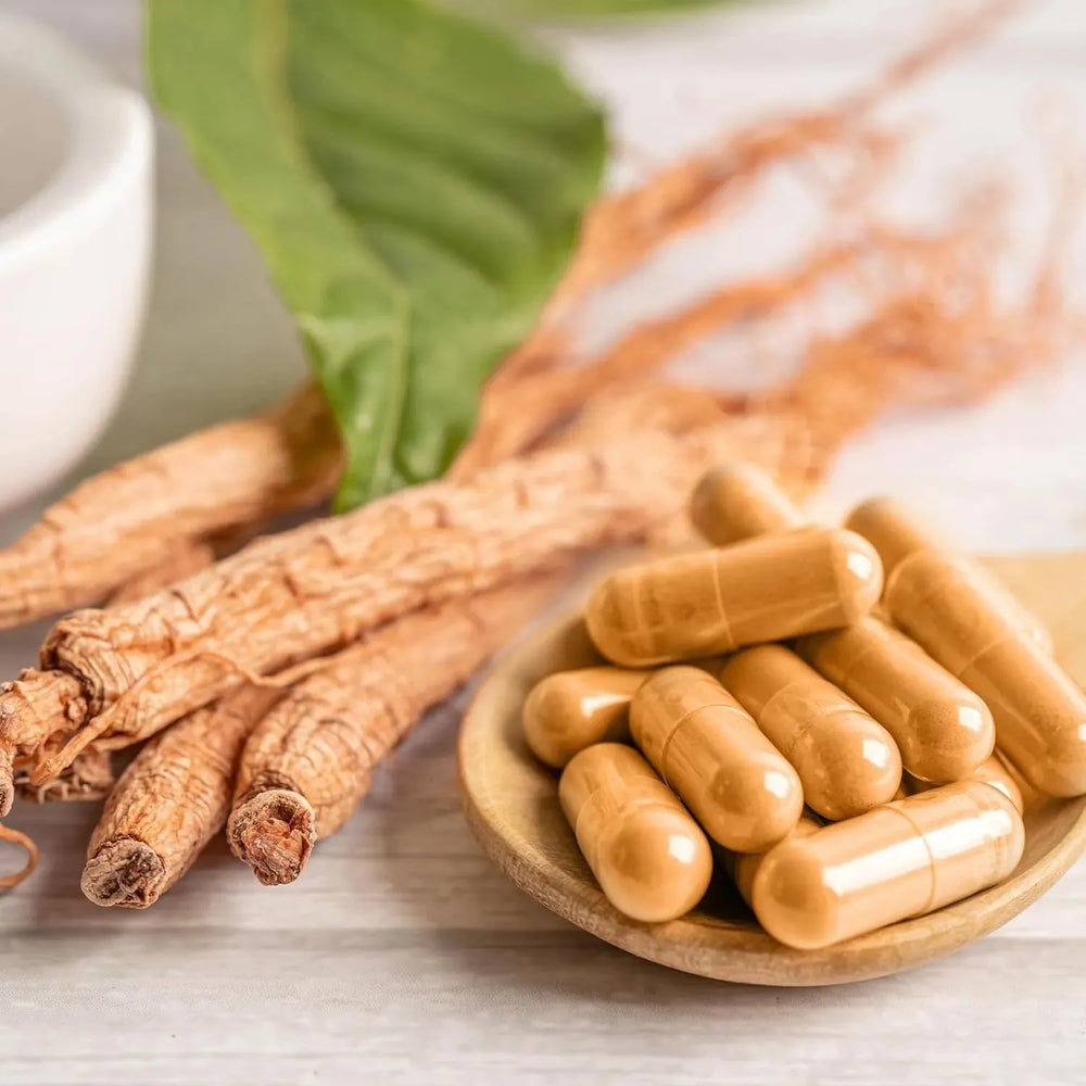 EARTHBORN ELEMENTS - Earthborn Elements Dong Quai 200 Capsulas - The Red Vitamin MX - Suplementos Alimenticios - {{ shop.shopifyCountryName }}