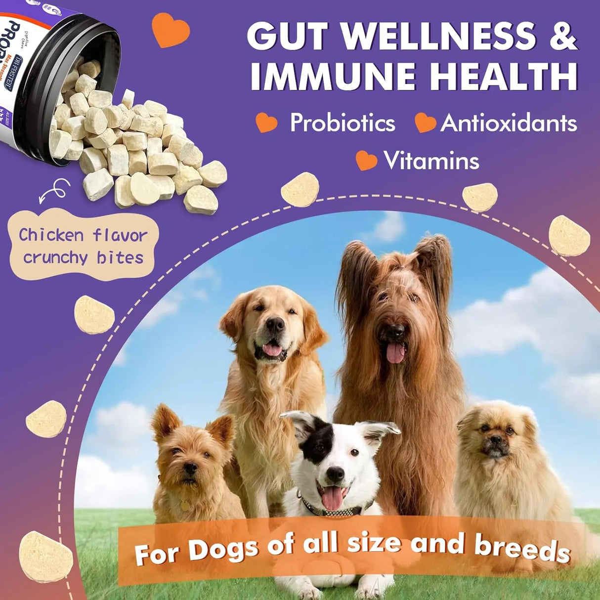 DR FOSTER - DR FOSTER Probiotics for Dogs 120 Masticables - The Red Vitamin MX - Probióticos Para Perros - {{ shop.shopifyCountryName }}