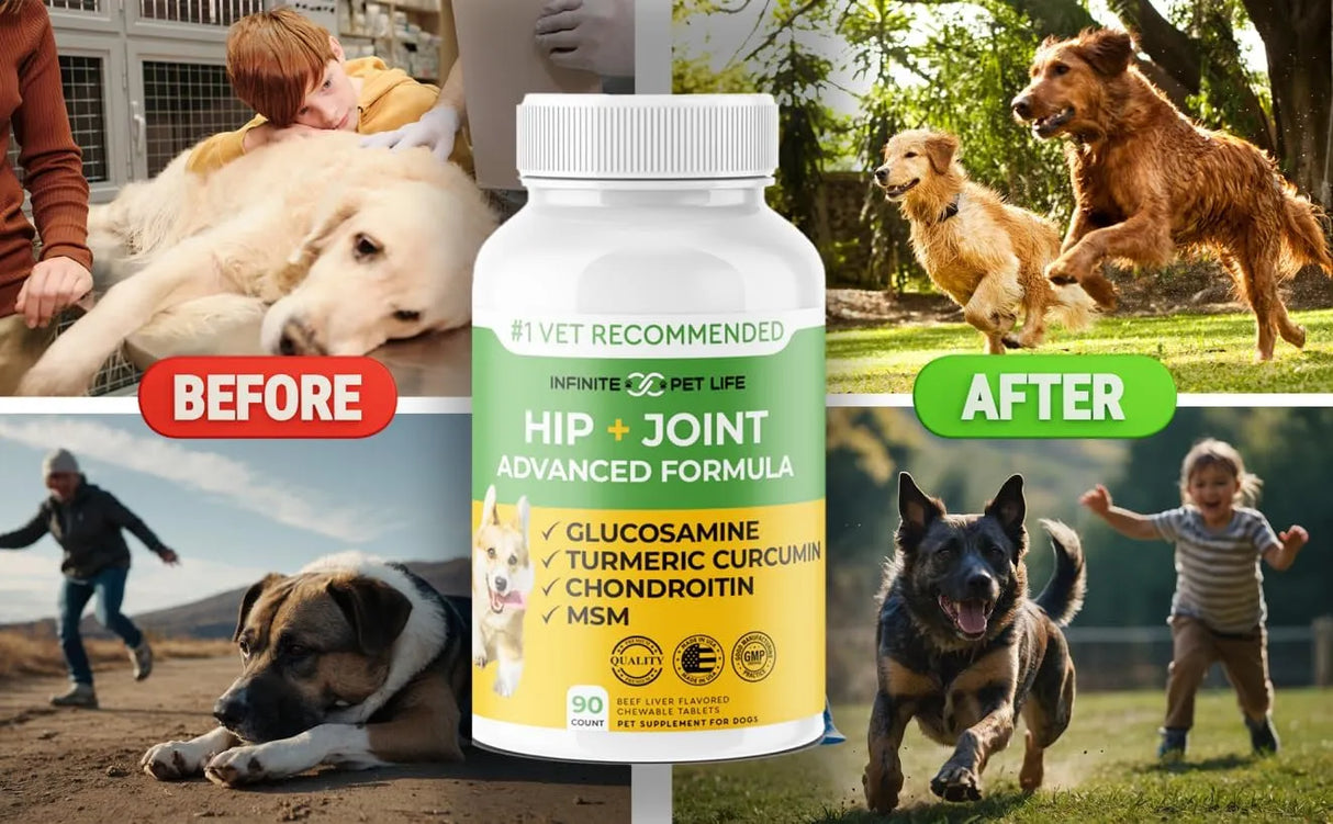 INFINITE PET - Infinite Pet Advanced Hip and Joint Supplement for Dogs 90 Tabletas Masticables - The Red Vitamin MX - Cuidado De Cadera Y Articulaciones Para Perros - {{ shop.shopifyCountryName }}