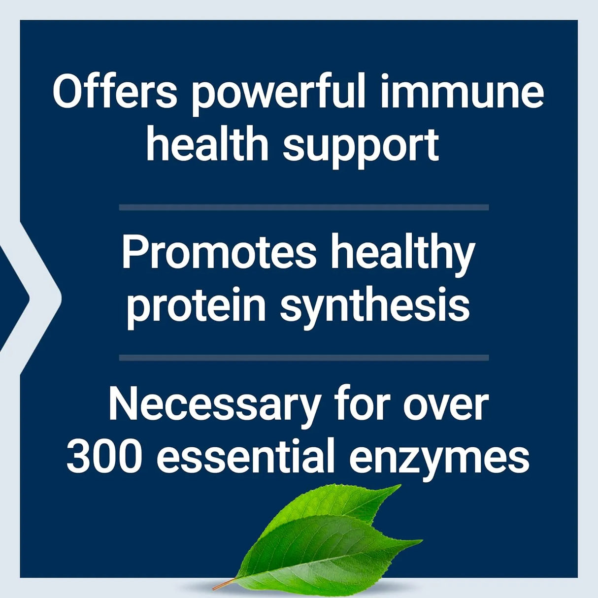 LIFE EXTENSION - Life Extension Zinc Lozenges 60 Tabletas - The Red Vitamin MX - Suplementos Alimenticios - {{ shop.shopifyCountryName }}