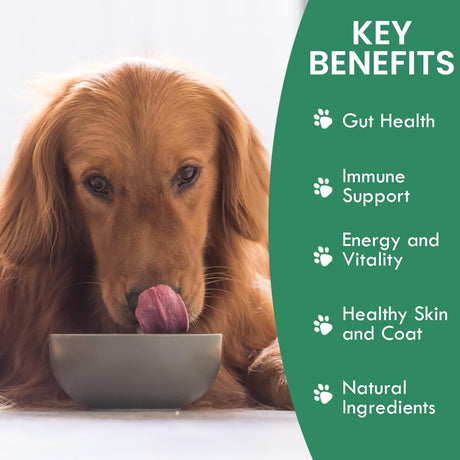 HOLISTIC BIN - HOLISTIC BIN Canine Powderized Beef Bone Broth Powder 50Gr. - The Red Vitamin MX - Suplementos Herbales Para Perros - {{ shop.shopifyCountryName }}