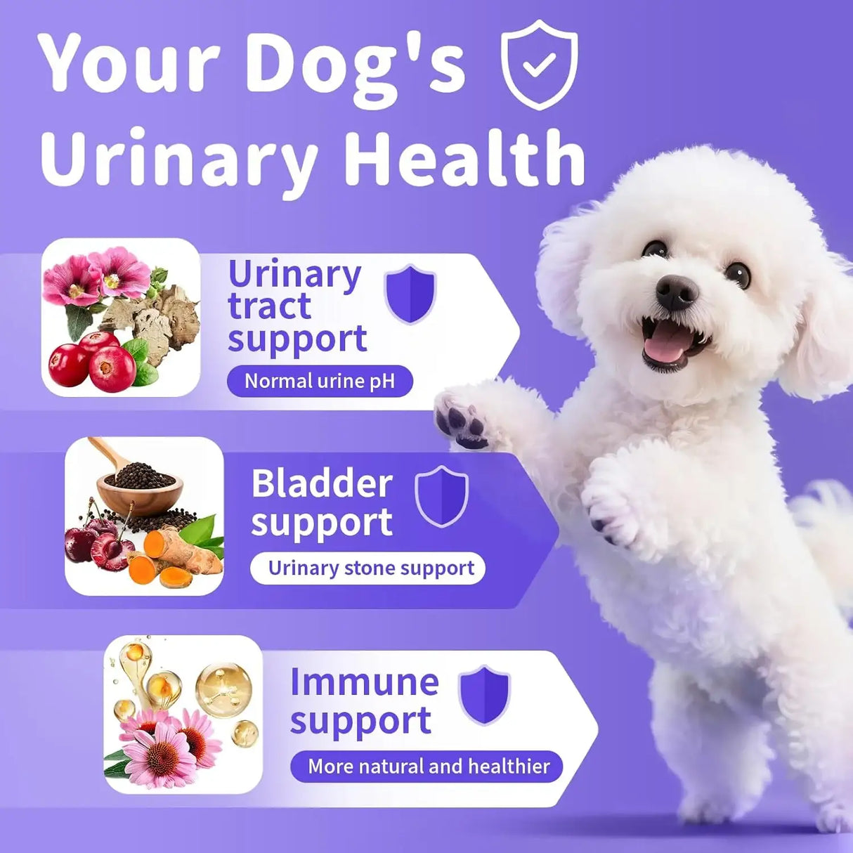 POPPAW - POPPAW Cranberry Supplement for Dog UTI Treatment Chicken 90 Masticables - The Red Vitamin MX - Salud De Tracto Urinario Para Perros - {{ shop.shopifyCountryName }}