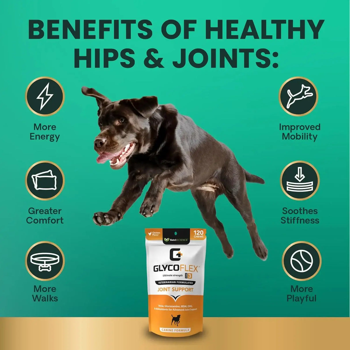 VETRISCIENCE - VetriScience Extra Strength Healthy Hip & Joint Chews 60 Masticables - The Red Vitamin MX - Cuidado De Cadera Y Articulaciones Para Perros - {{ shop.shopifyCountryName }}