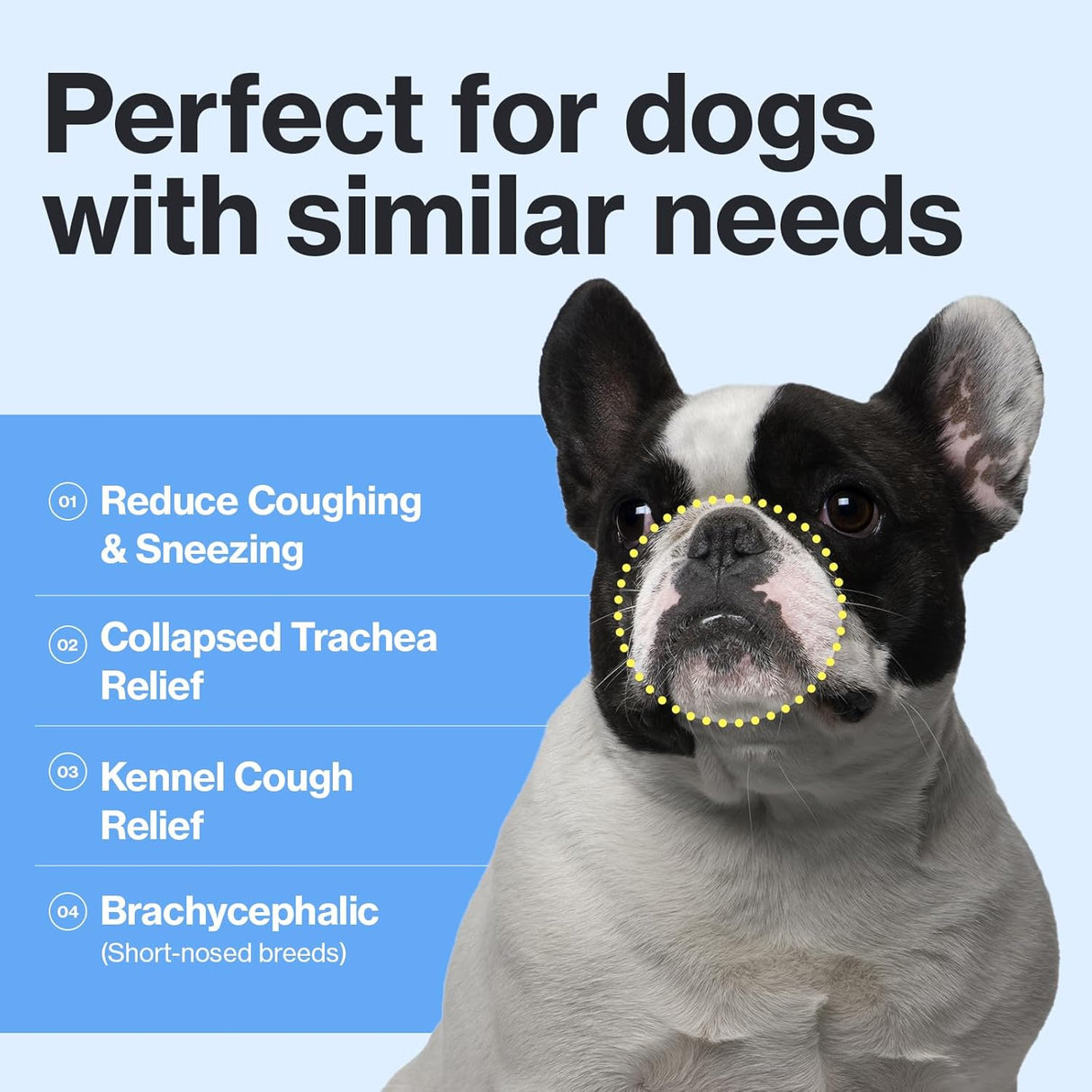 Doctor By Breath Bronchial Supplements for Dogs 30 Paquetes