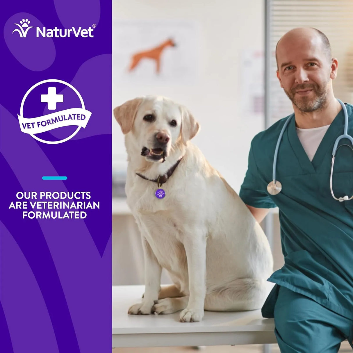 NATURVET - NaturVet Evolutions Probiotic & Superfoods 180 Masticables - The Red Vitamin MX - Probióticos Para Perros - {{ shop.shopifyCountryName }}