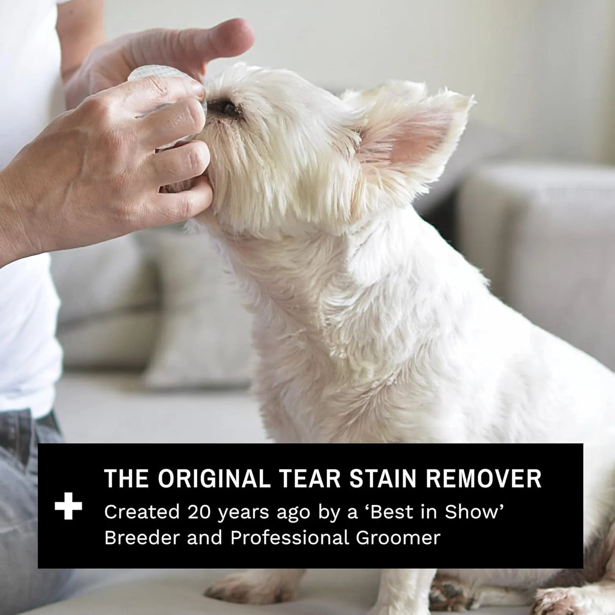 EYE ENVY - Eye Envy Tear Stain Wipes for Dogs 60 Toallitas - The Red Vitamin MX - Cuidado De Los Ojos De Los Perros - {{ shop.shopifyCountryName }}