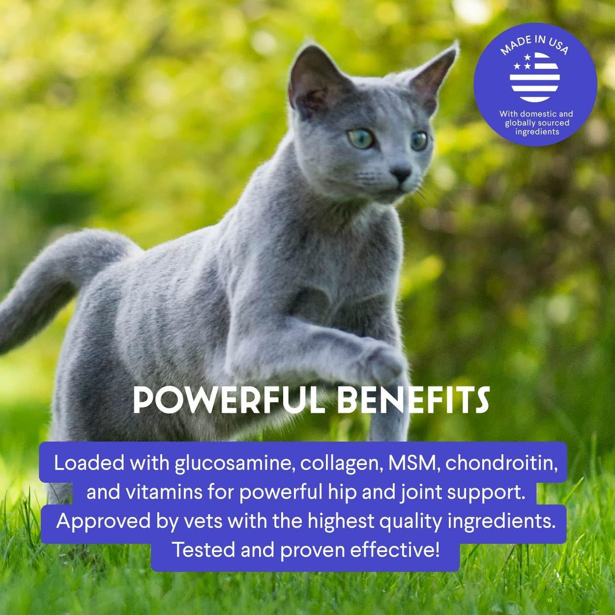 WONDER PAWS Premium Liquid Glucosamine for Cats 2 Fl.Oz.