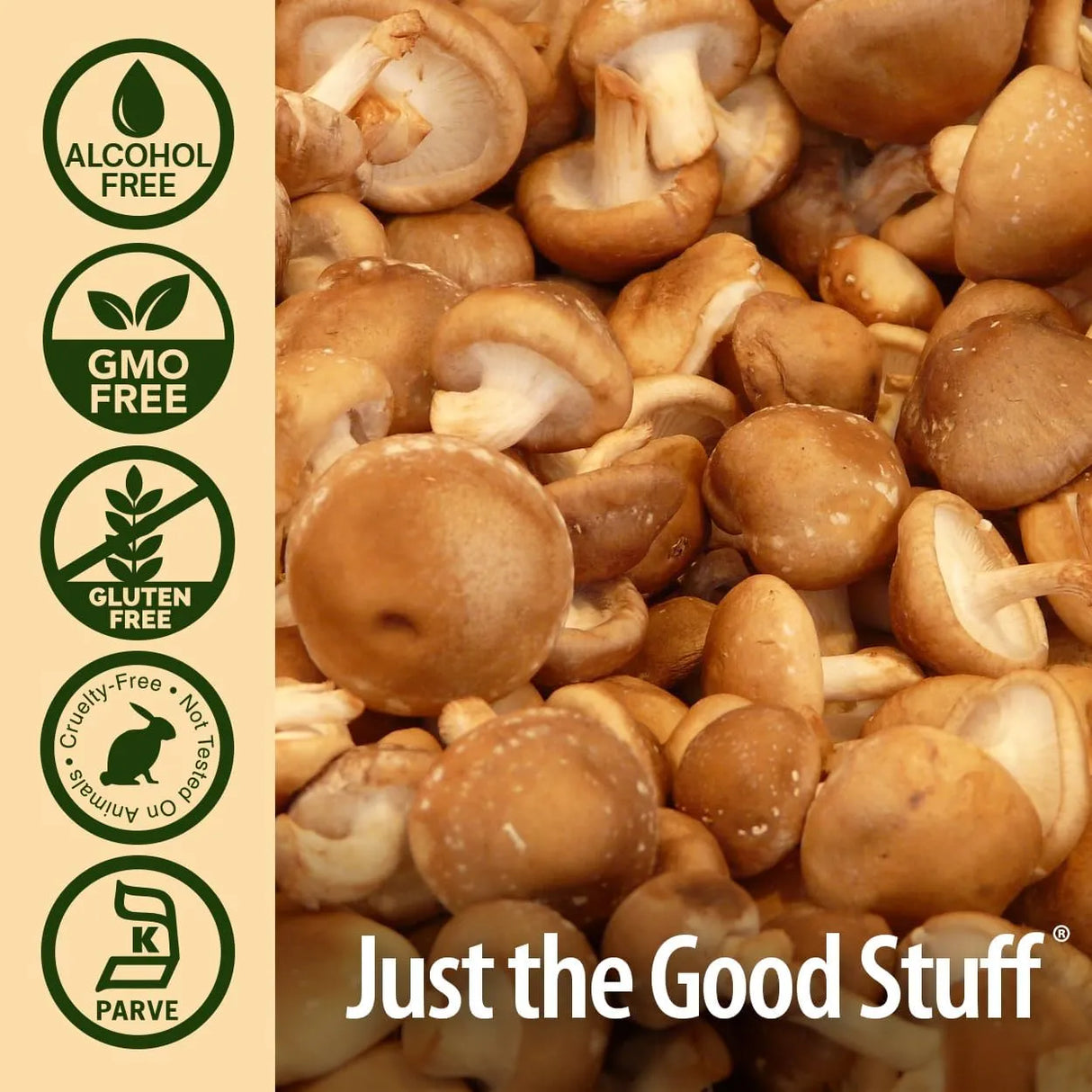 NATURE´S ANSWER - Nature's Answer Shiitake Mushroom Extract 1 Fl.Oz. - The Red Vitamin MX - Suplementos Alimenticios - {{ shop.shopifyCountryName }}