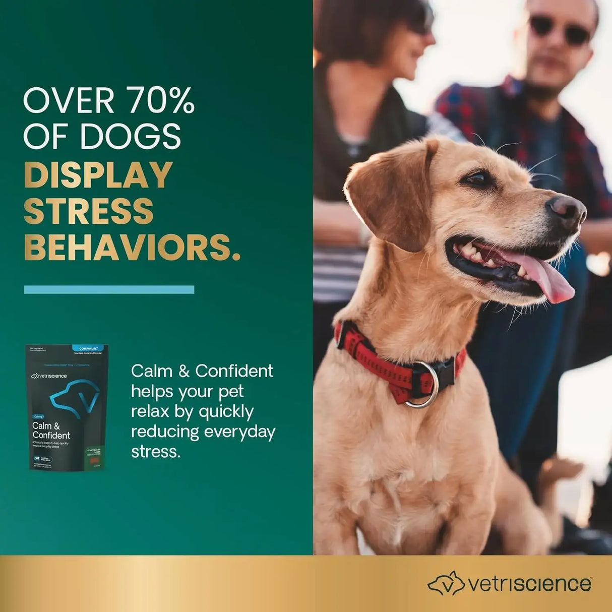 VETRISCIENCE - VetriScience Long Lasting Calm & Confident Calming Chews Peanut Butter 120 Masticables - The Red Vitamin MX - Relajantes Para Perros - {{ shop.shopifyCountryName }}