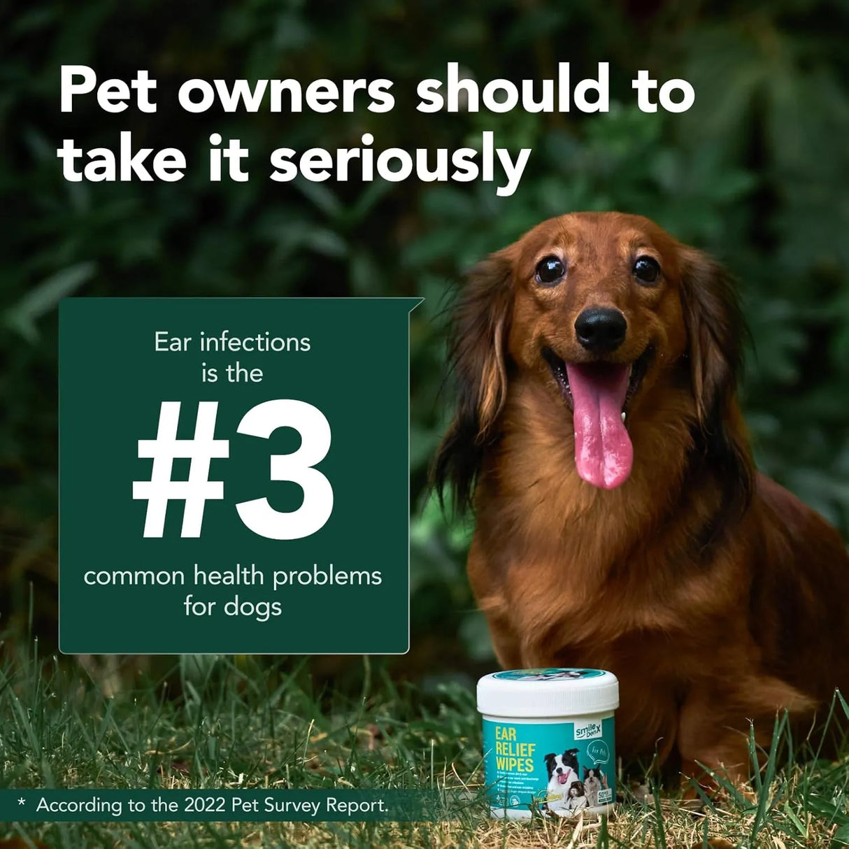 SMILEDENX - SmileDenX Dog Ear Cleaner Wipes Unscented 50 Toallitas 2 Pack - The Red Vitamin MX - Cuidado Del Oído De Perros - {{ shop.shopifyCountryName }}