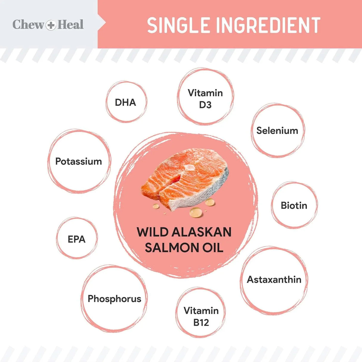 CHEW + HEAL - Chew + Heal Labs Wild Alaskan Salmon Fish Oil for Dogs 32 Fl.Oz. - The Red Vitamin MX - Aceite De Pescado Para Perros - {{ shop.shopifyCountryName }}