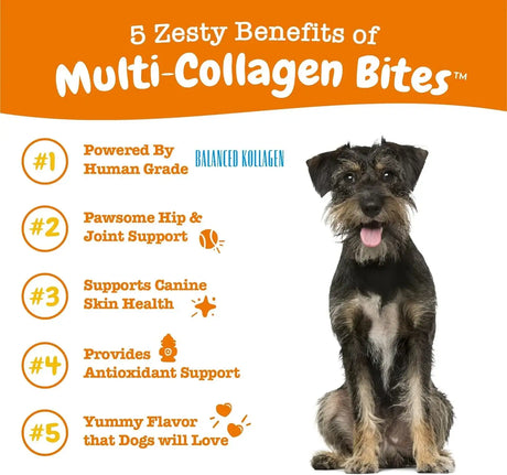 ZESTY PAWS - Zesty Paws Multi Collagen Soft Chews for Dogs 90 Masticables - The Red Vitamin MX - Cuidado De Cadera Y Articulaciones Para Perros - {{ shop.shopifyCountryName }}