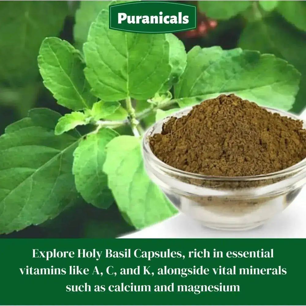 PURANICALS - Puranicals Holy Basil 320 Capsulas - The Red Vitamin MX - Suplementos Alimenticios - {{ shop.shopifyCountryName }}