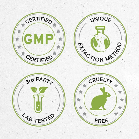 SECRETS OF THE TRIBE - Secrets of the Tribe Chanca Piedra Alcohol-Free Tincture Extract 2 Fl.Oz. - The Red Vitamin MX - Suplementos Alimenticios - {{ shop.shopifyCountryName }}