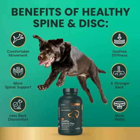 VETRISCIENCE - VetriScience Healthy Spine & Disc Back & Spinal Support Chondroitin & Taurine Supplement for Dogs 180 Capsulas - The Red Vitamin MX - Cuidado De Cadera Y Articulaciones Para Perros - {{ shop.shopifyCountryName }}