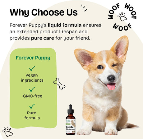 FOREVER PUPPY - Forever Puppy Red Reishi Mushroom Tincture for Dogs 2 Fl.Oz. - The Red Vitamin MX - Suplementos Herbales Para Perros - {{ shop.shopifyCountryName }}