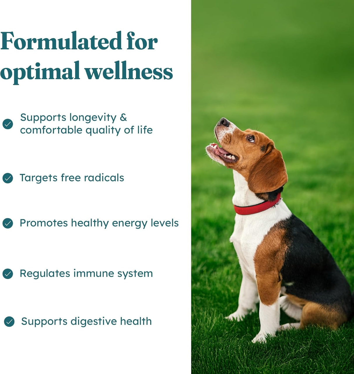 PetHeal Cancer Care Chews for Dogs Pork Flavor 30 Masticables