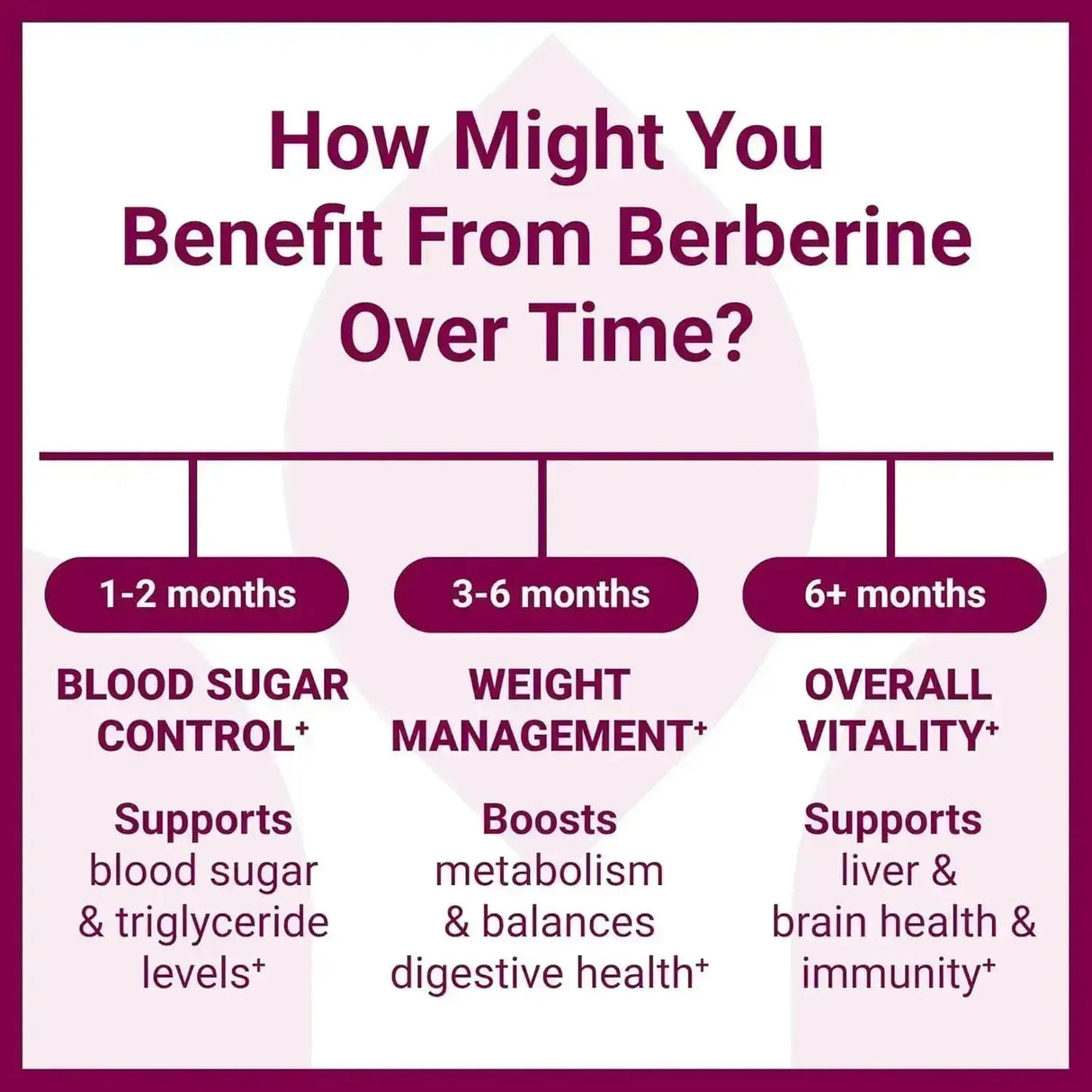 LUMA NUTRITION - Luma Nutrition Berberine 1200Mg. 60 Capsulas - The Red Vitamin MX - Suplementos Alimenticios - {{ shop.shopifyCountryName }}