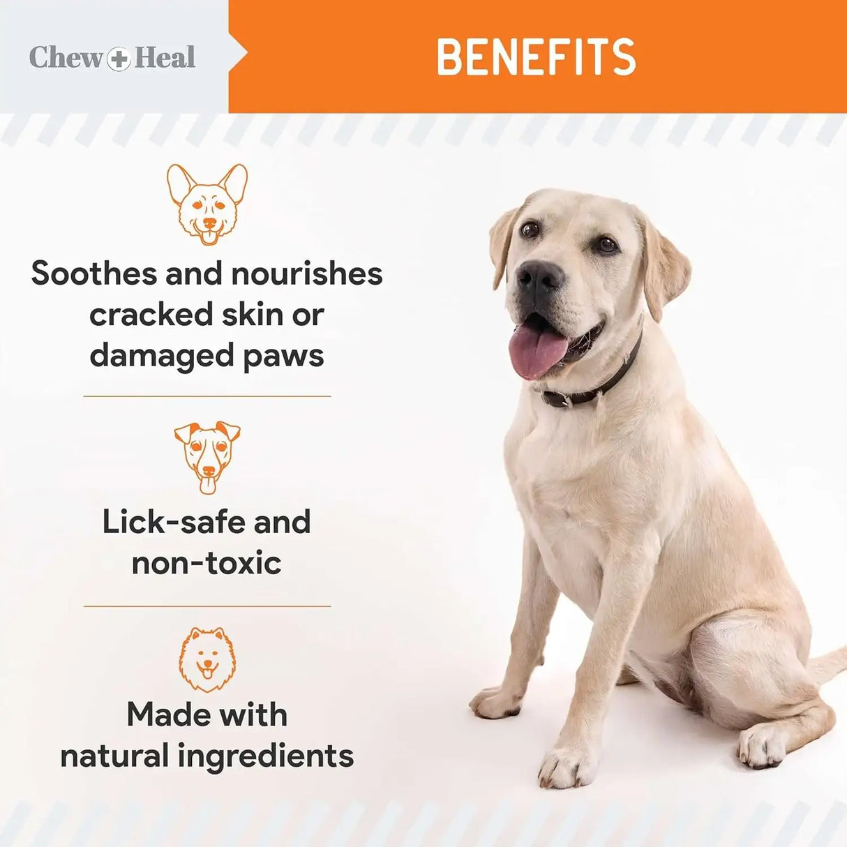 CHEW + HEAL - Chew + Heal Labs Dog Paw Balm 2 Oz. - The Red Vitamin MX - Remedios Para La Picazón De Perros - {{ shop.shopifyCountryName }}