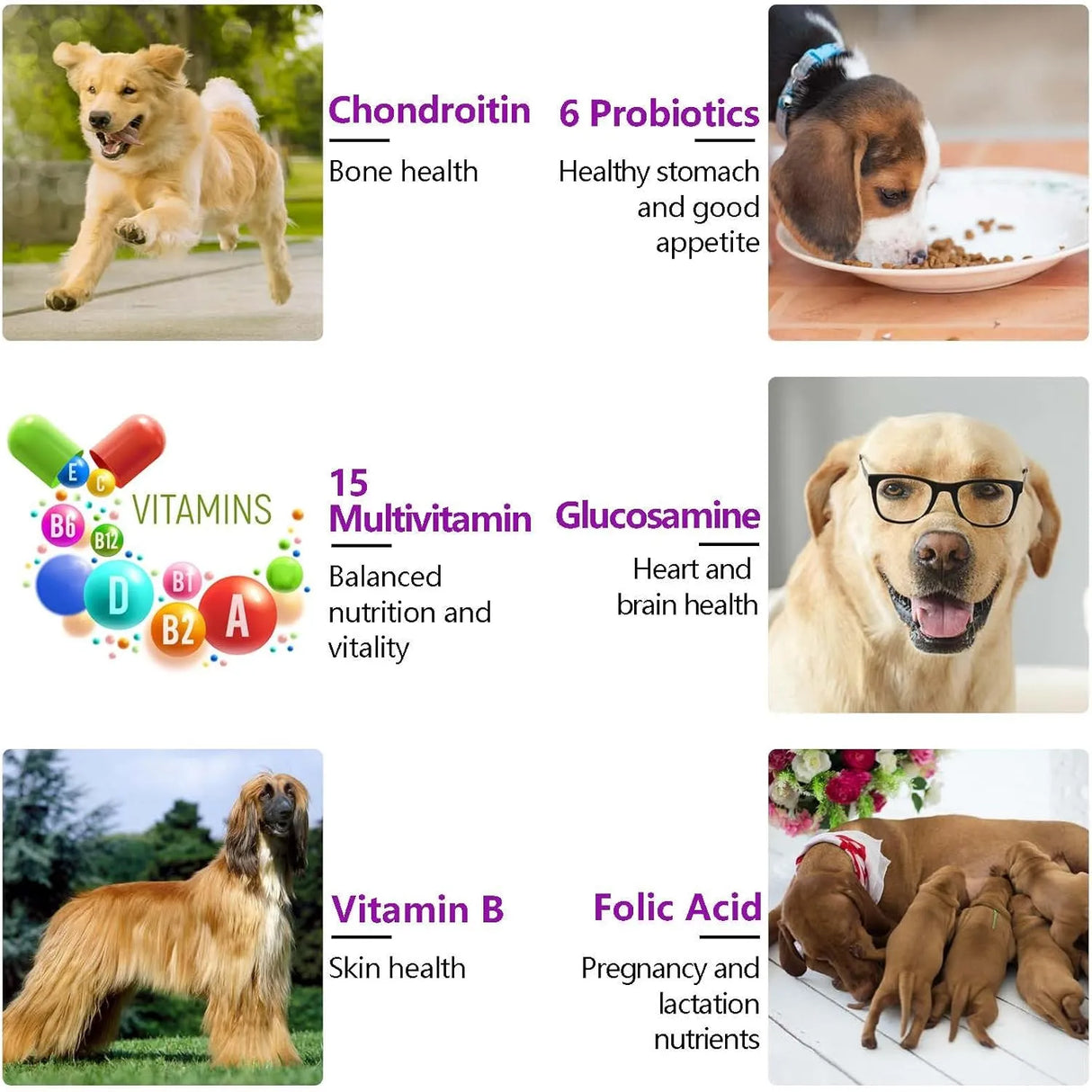 FRDUGA - FRDUGA 15-in-1 Dog Multivitamin 150 Masticables - The Red Vitamin MX - Multivitamínicos Para Perros - {{ shop.shopifyCountryName }}