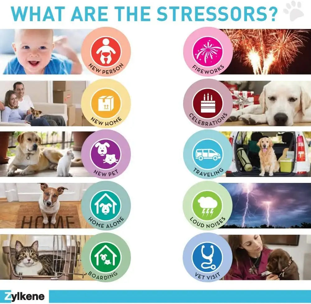 VETOQUINOL - Vetoquinol Zylkene Behavior Support Capsules for Medium Dogs 33-65lbs 14 Capsulas - The Red Vitamin MX - Relajantes Para Perros - {{ shop.shopifyCountryName }}