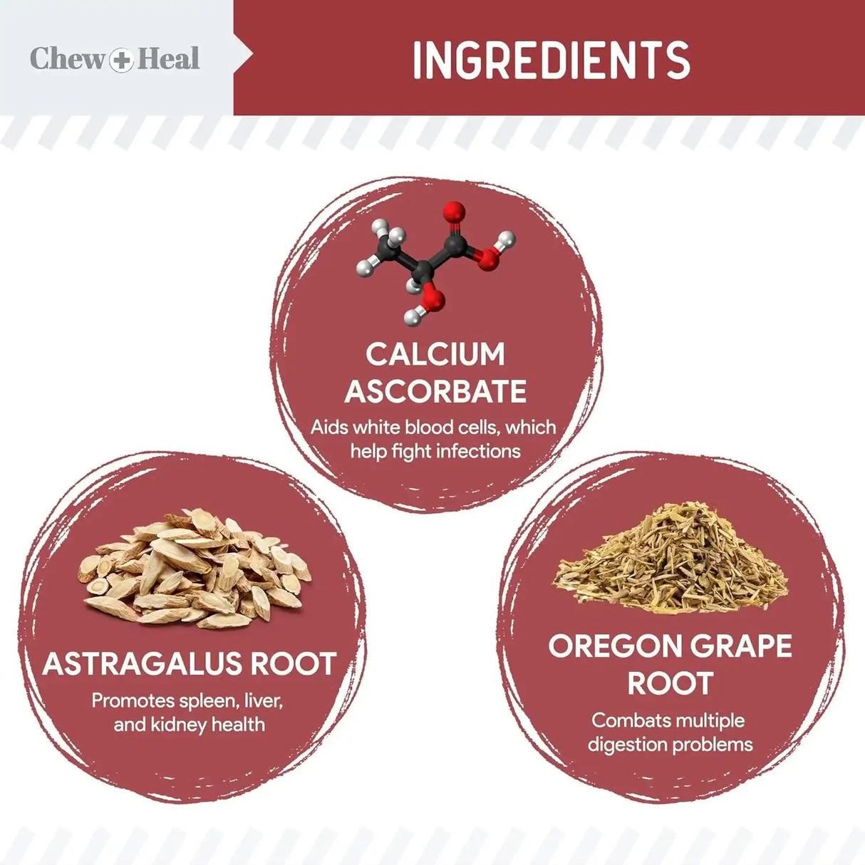 CHEW + HEAL - Chew + Heal Labs Dog UTI Treatment Cranberry Supplement for Dogs 120 Masticables - The Red Vitamin MX - Salud De Tracto Urinario Para Perros - {{ shop.shopifyCountryName }}