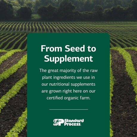 STANDARD PROCESS - Standard Process Canine Dermal Support Skin & Adrenal Gland Supplement 125Gr. - The Red Vitamin MX - Remedios Para La Picazón De Perros - {{ shop.shopifyCountryName }}