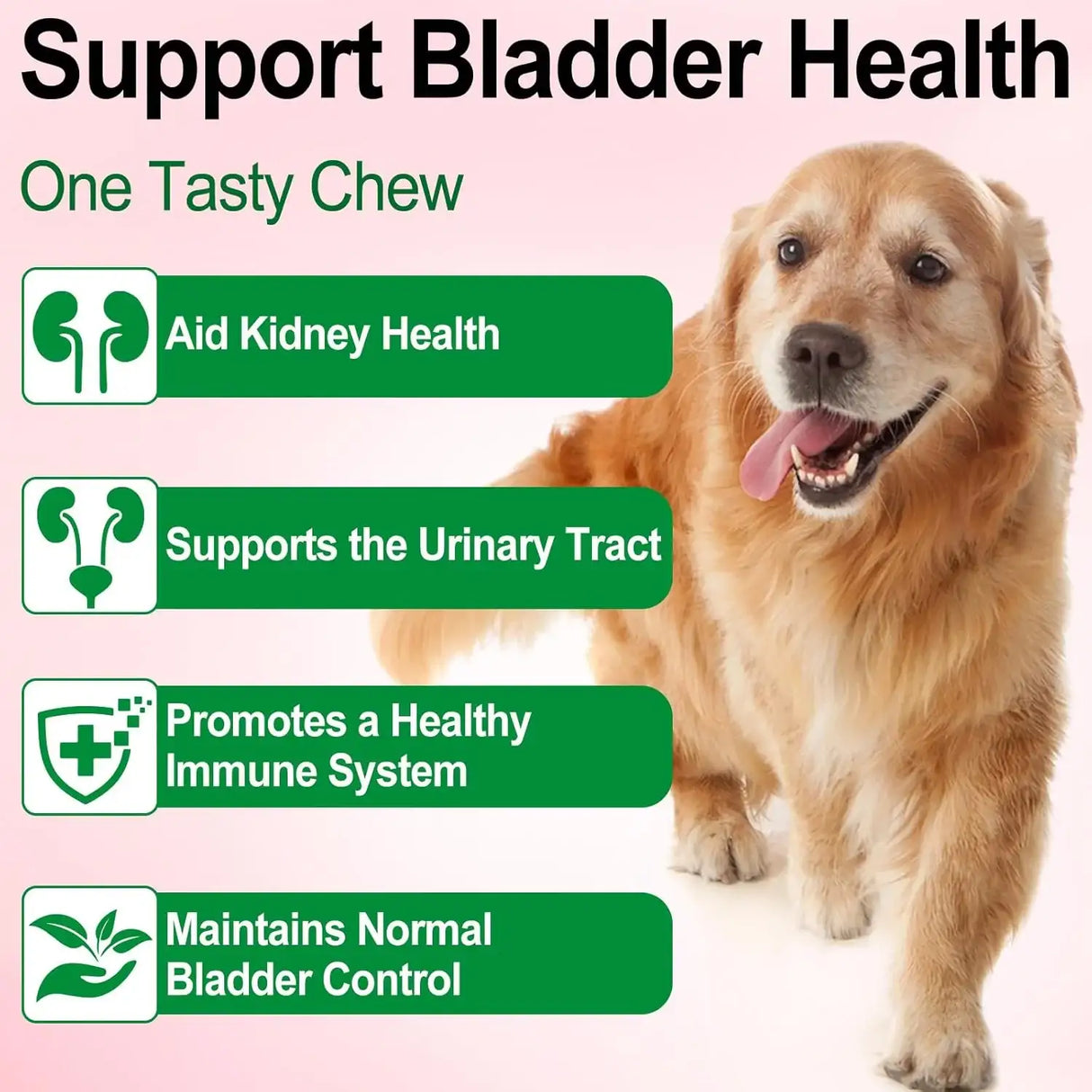 OIMMAL - Oimmal Urinary Tract for Dogs 2 Fl.Oz. - The Red Vitamin MX - Salud De Tracto Urinario Para Perros - {{ shop.shopifyCountryName }}