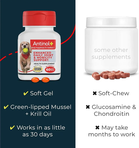 ANTINOL - Antinol Plus Mobility Hip and Joint Supplement for Dogs 90 Capsulas Blandas - The Red Vitamin MX - Cuidado De Cadera Y Articulaciones Para Perros - {{ shop.shopifyCountryName }}