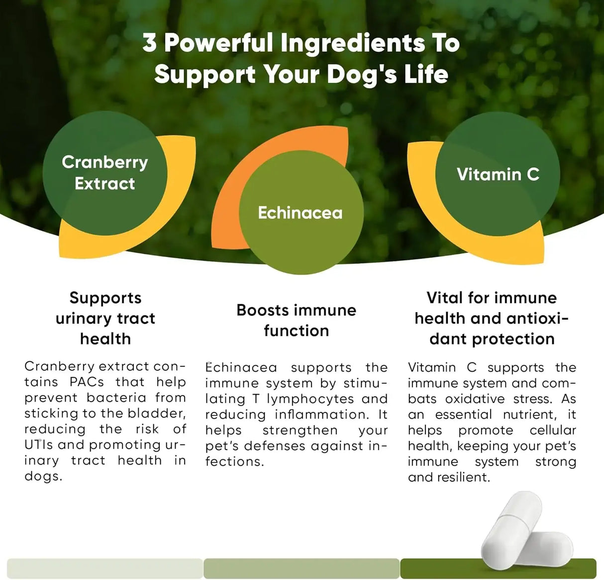 ROOTED OWL - Rooted Owl Urinary Support 60 Capsulas - The Red Vitamin MX - Salud De Tracto Urinario Para Perros - {{ shop.shopifyCountryName }}