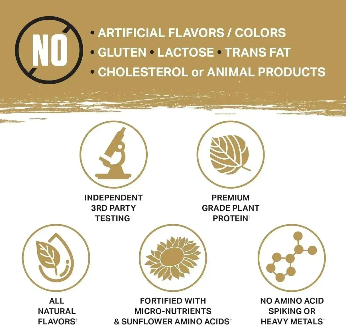 AMBROSIA - Ambrosia Planta Premium Organic Plant-Based Protein 25 Servicios Candy Bar 800Gr. - The Red Vitamin MX - Suplementos Alimenticios - {{ shop.shopifyCountryName }}