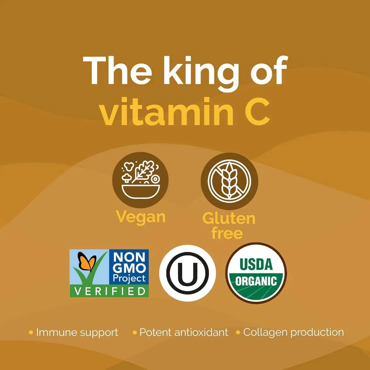 ZINT - Zint Camu Camu Powder Organic 99Gr. - The Red Vitamin MX - Suplementos Alimenticios - {{ shop.shopifyCountryName }}