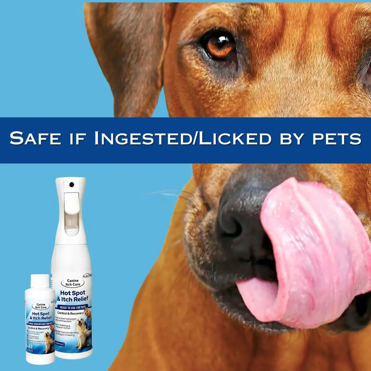 CANINE ITCH CARE - Canine Itch Care Hot Spot Spray & Itch Relief For Dogs and Cats 4 Fl.Oz. - The Red Vitamin MX - Remedios Para La Picazón De Perros - {{ shop.shopifyCountryName }}