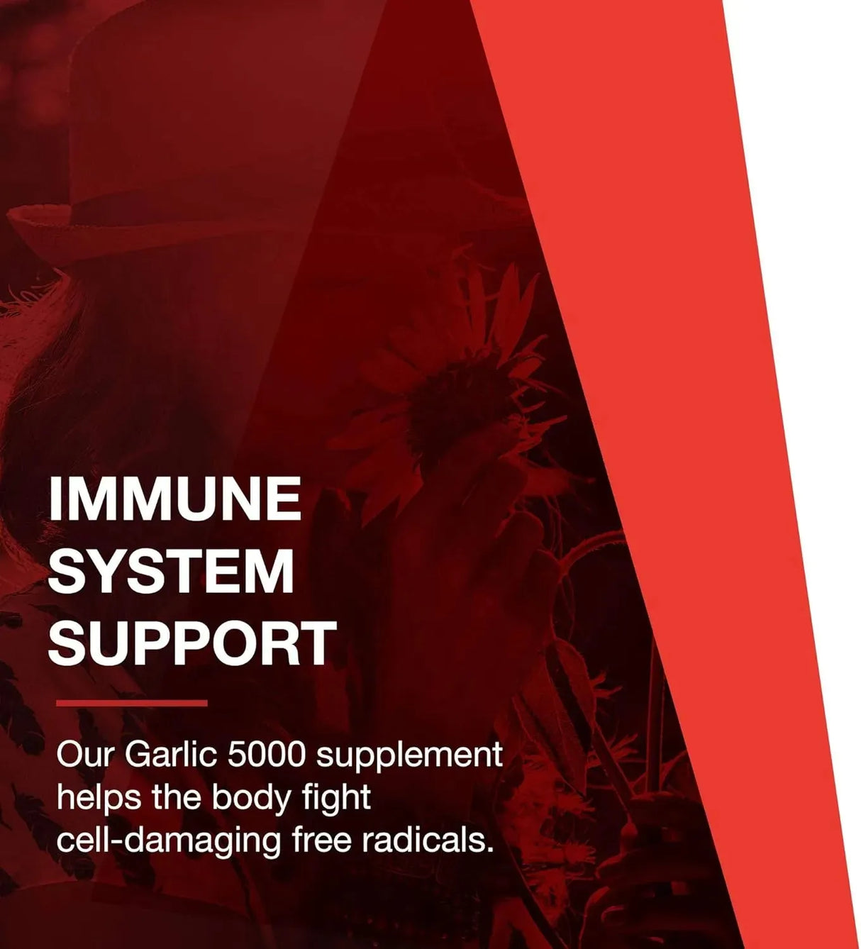 PROTOCOL FOR LIFE BALANCE - Protocol For Life Balance Garlic 5,000 90 Tabletas - The Red Vitamin MX - Suplementos Alimenticios - {{ shop.shopifyCountryName }}