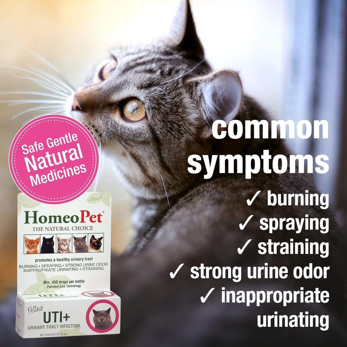 HomeoPet Feline UTI Plus Safe and Natural Urinary Tract Supplement for Cats 15Ml. 2 Pack