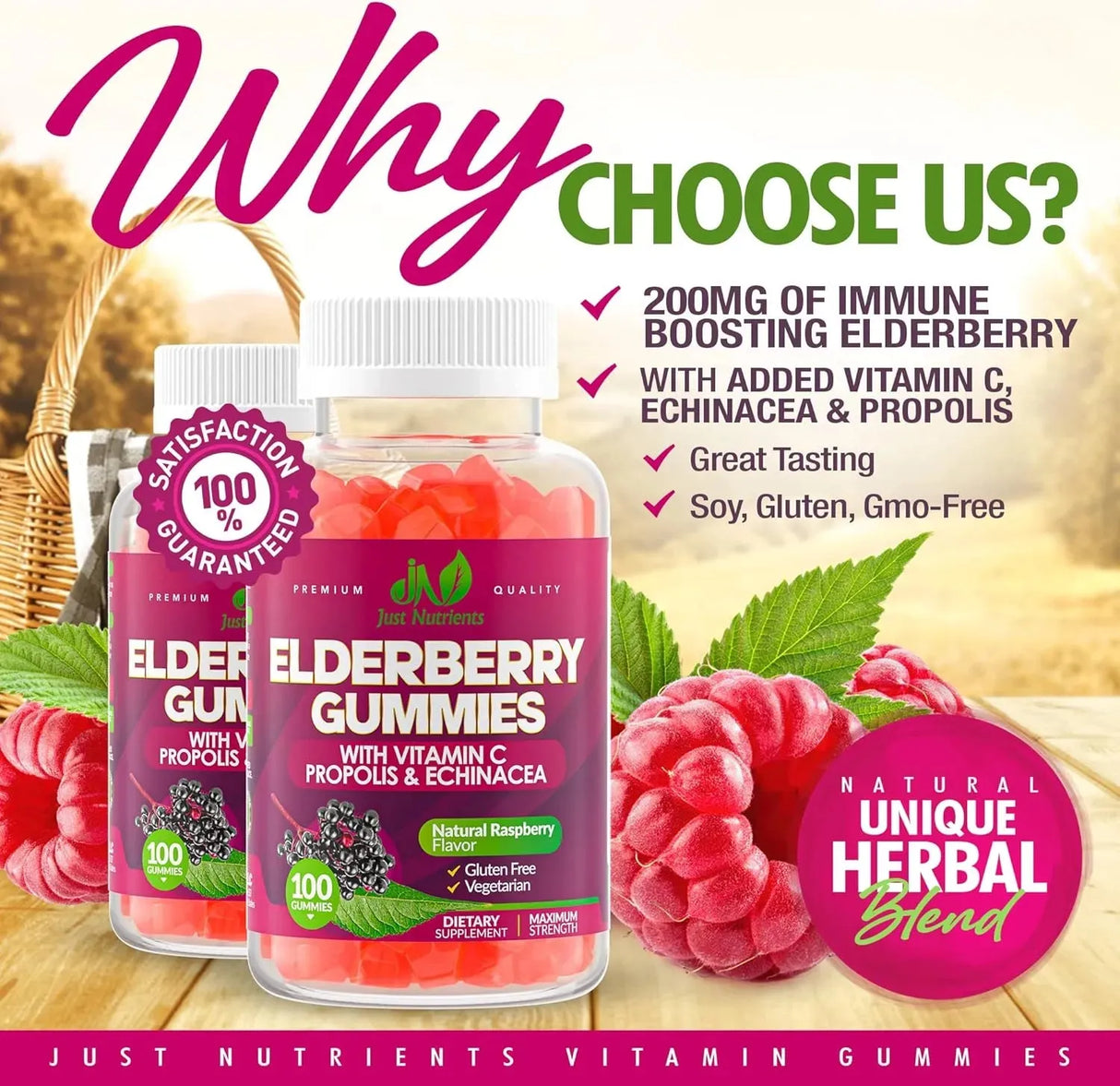 JUST NUTRIENTS - Just Nutrients Elderberry Sambucus Gummies with Vitamin C 100 Gomitas - The Red Vitamin MX - Suplementos Alimenticios - {{ shop.shopifyCountryName }}