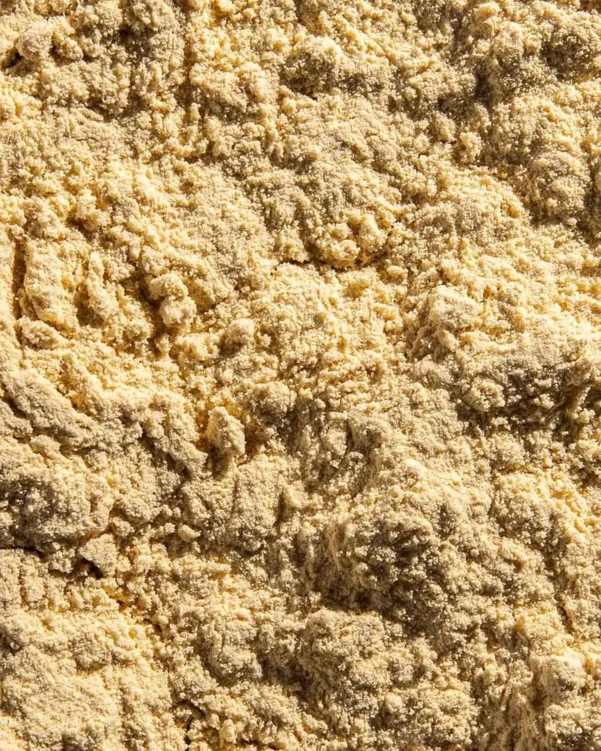 ORA ORGANIC - Ora Organic Plant-Based Protein Powder 23g Vanilla 20 Servicios 618Gr. - The Red Vitamin MX - Suplementos Alimenticios - {{ shop.shopifyCountryName }}