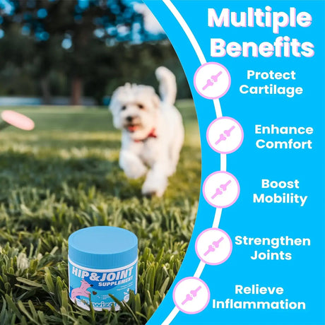 PAWIZON - PAWIZON Advanced Hip and Joint Supplement for Dogs 120 Masticables - The Red Vitamin MX - Cuidado De Cadera Y Articulaciones Para Perros - {{ shop.shopifyCountryName }}