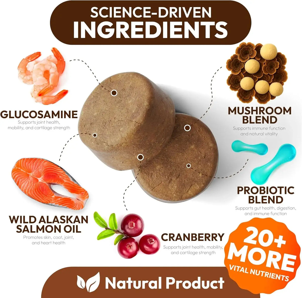 PETSOLOGY - Petsology Multivitamin Mushrooms for Dogs 170 Masticables - The Red Vitamin MX - Multivitamínicos Para Perros - {{ shop.shopifyCountryName }}