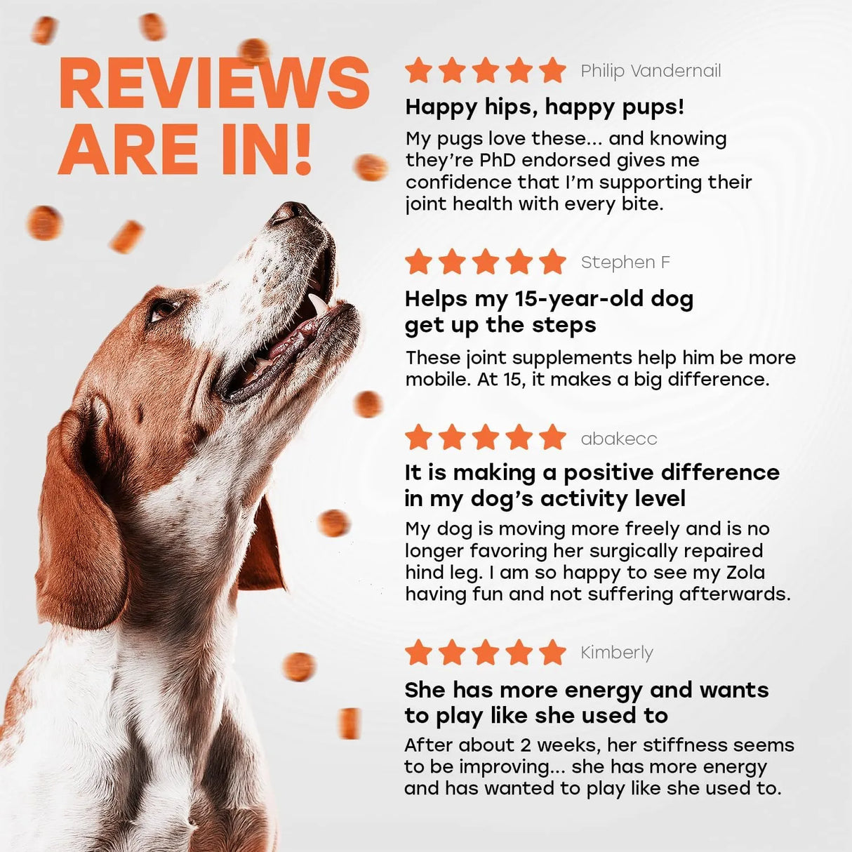 PUP CHOICE - Pup Choice Hip & Joint Support Treats for Dogs Beef Flavor 140 Masticables - The Red Vitamin MX - Cuidado De Cadera Y Articulaciones Para Perros - {{ shop.shopifyCountryName }}