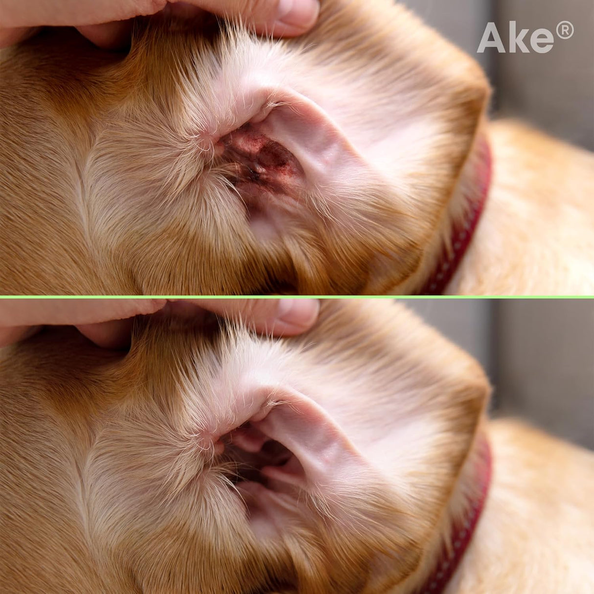 Ake Dog Ear Cleaner Solution Cat Ear Cleaner 3.4 Fl.Oz.