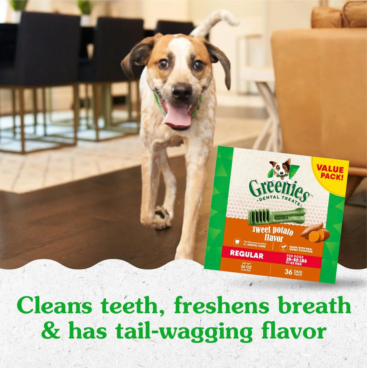GREENIES - Greenies Regular Natural Dog Dental Treats Sweet Potato Flavor 36 Piezas - The Red Vitamin MX - Cuidado Dental Para Perros - {{ shop.shopifyCountryName }}