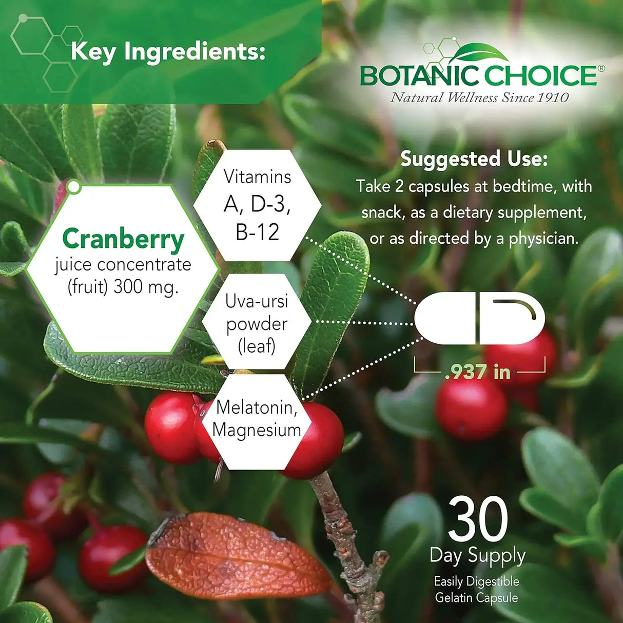 BOTANIC CHOICE - Botanic Choice Pro-Advanced Urinary Formula-Blend 60 Capsulas - The Red Vitamin MX - Suplementos Alimenticios - {{ shop.shopifyCountryName }}