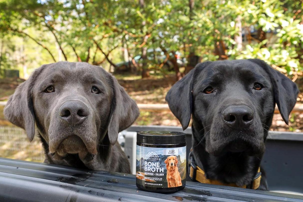 NORTHERN CASCADES - Northern Cascades Bone Broth for Dogs with Medicinal Mushrooms 60 Servicios 85Gr. - The Red Vitamin MX - Suplementos Herbales Para Perros - {{ shop.shopifyCountryName }}
